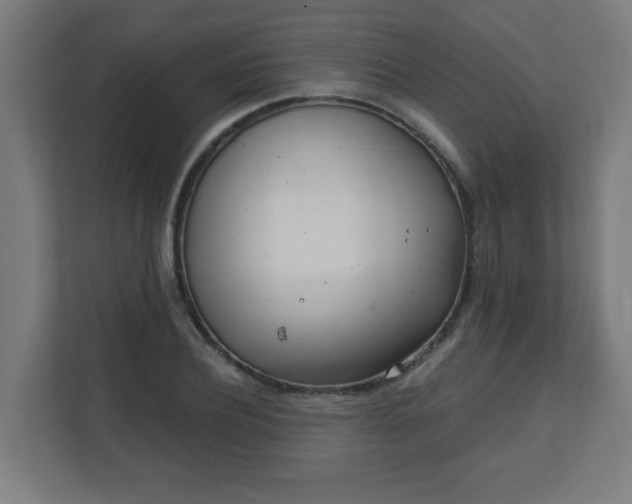 X0000111130932200907071015