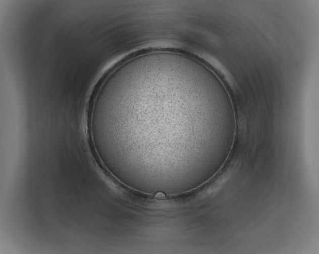 X0000111130935200907071015