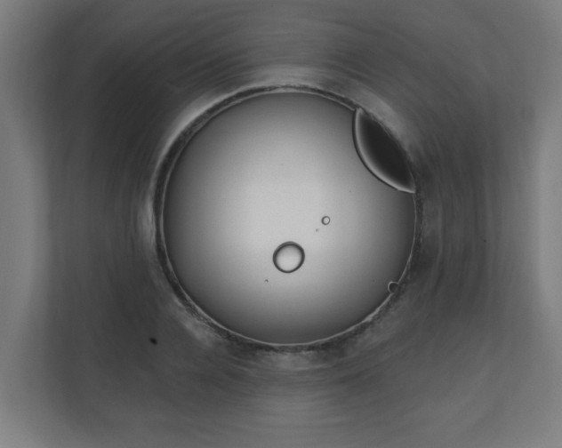 X0000111130936200907071015