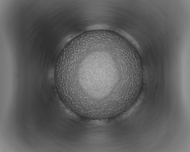 X0000111130937200907071015