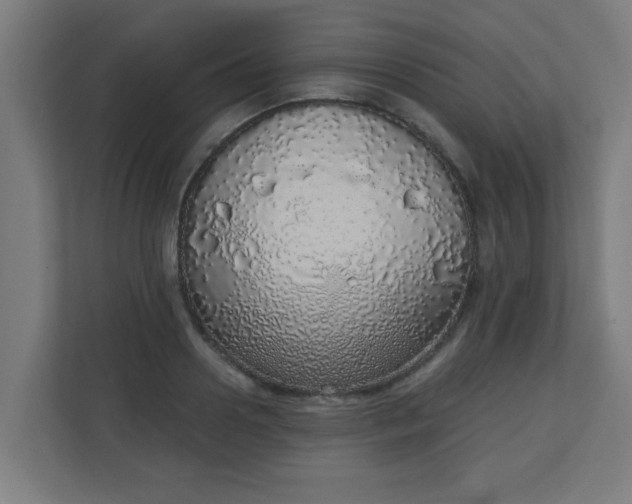X0000111130938200907071015