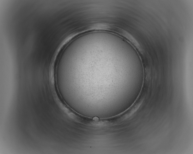 X0000111130939200907071015