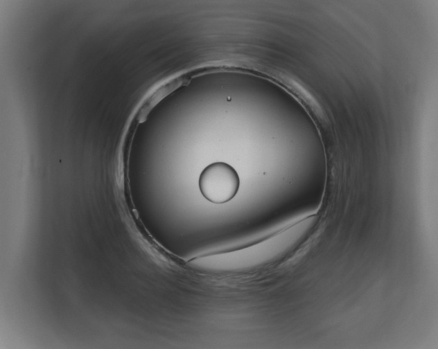 X0000111130940200907071015