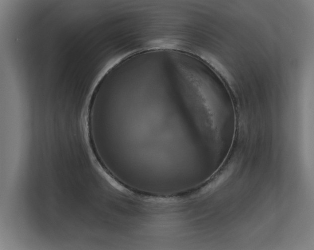 X0000111130941200907071015