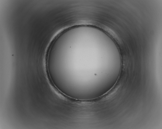 X0000111130942200907071015