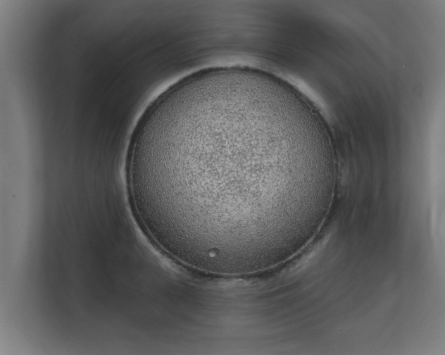 X0000111130943200907071015