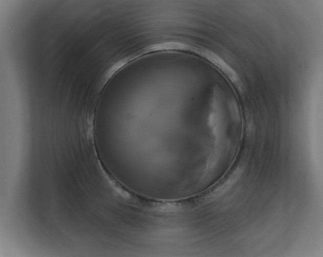 X0000111130945200907071015