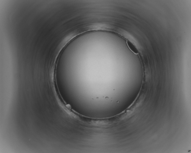 X0000111130946200907071015