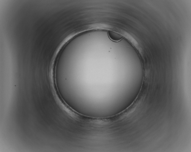 X0000111130947200907071015