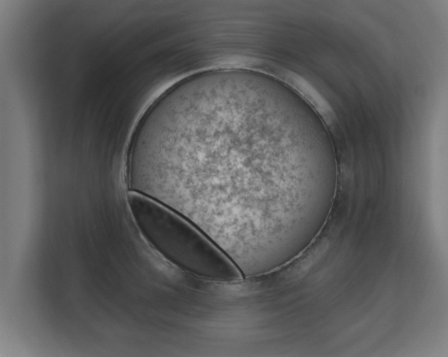 X0000111130948200907071015
