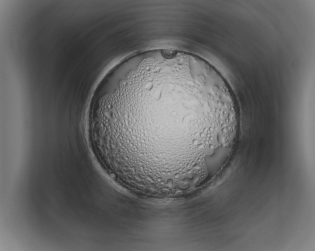 X0000111130949200907071015