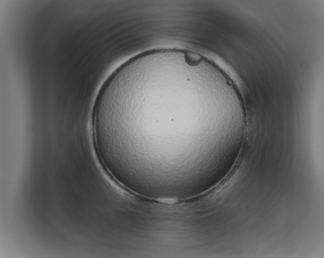 X0000111130951200907071015