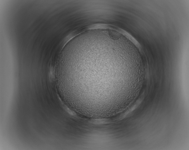 X0000111130953200907071015