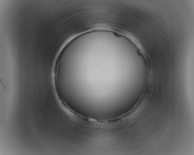 X0000111130955200907071015