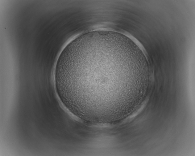 X0000111130957200907071015