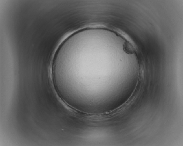 X0000111130959200907071015