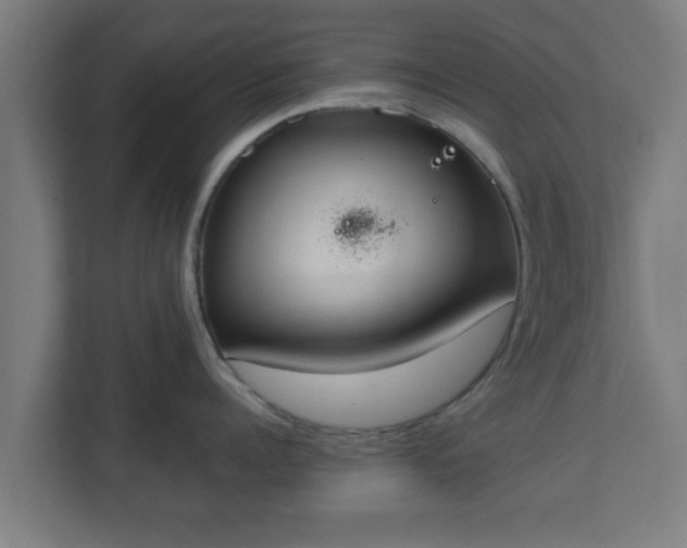X0000111130960200907071015