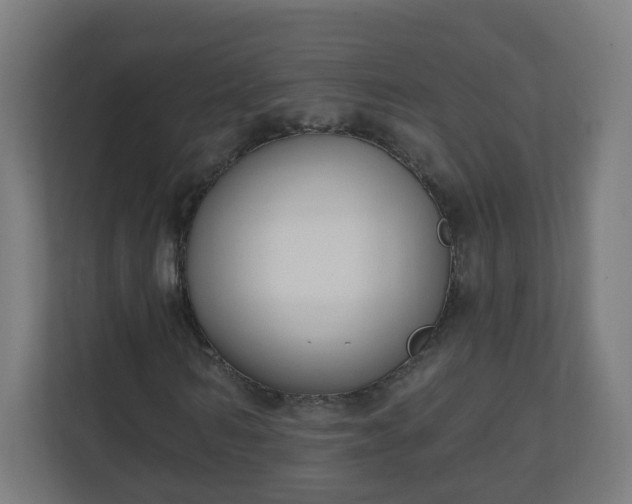 X0000111130962200907071014