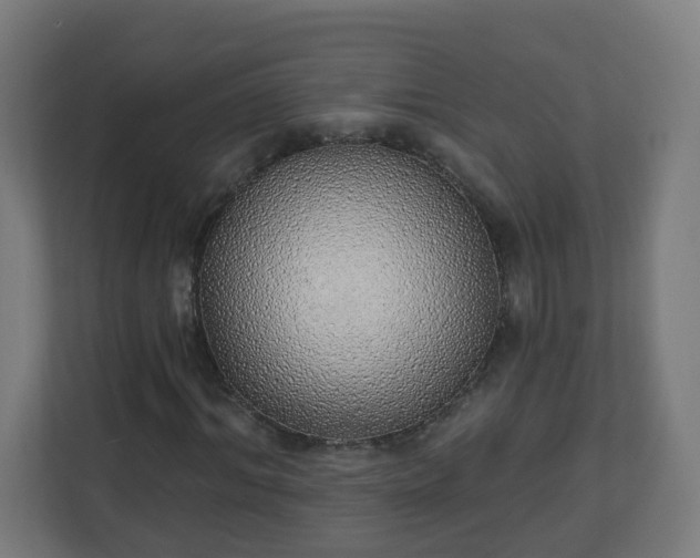 X0000111130964200907071014