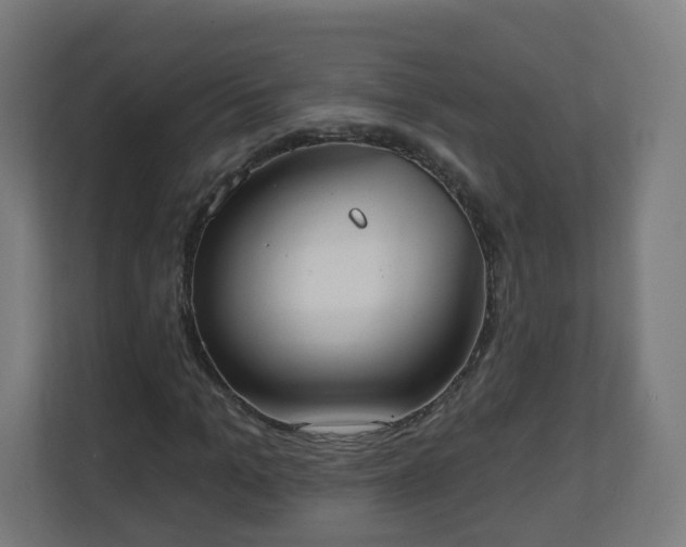 X0000111130965200907071014