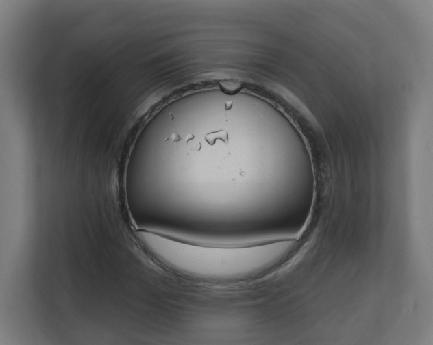 X0000111130969200907071014