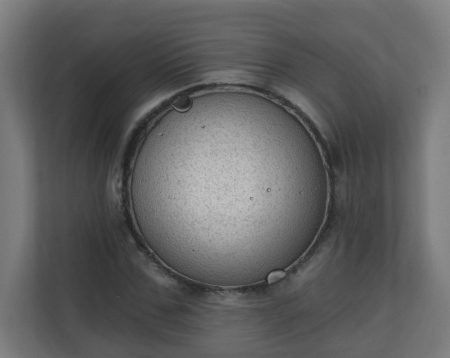 X0000111130971200907071014
