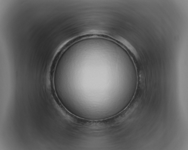 X0000111130972200907071014