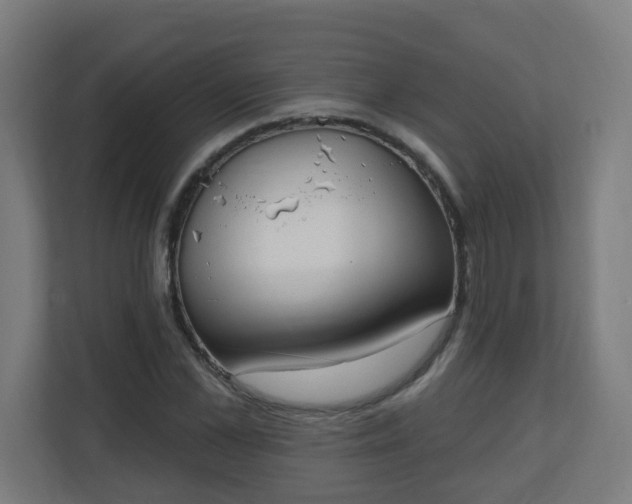 X0000111130973200907071014
