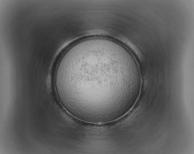 X0000111130975200907071014