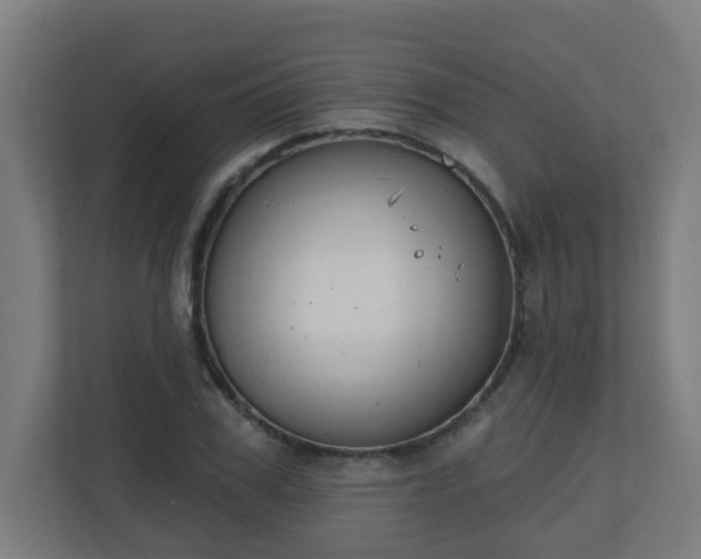 X0000111130979200907071014
