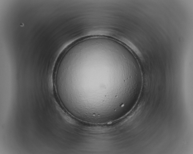X0000111130980200907071014