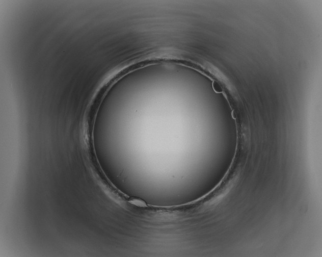 X0000111130981200907071014