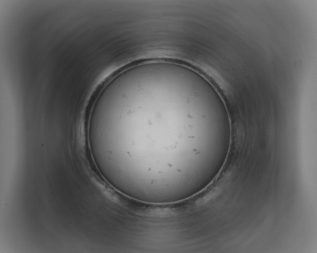X0000111130982200907071014