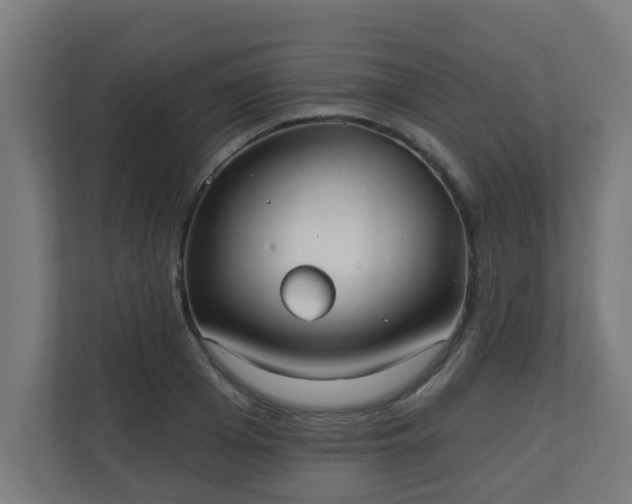 X0000111130985200907071014