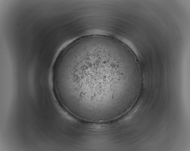 X0000111130987200907071014