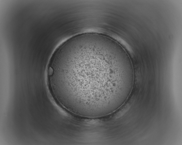 X0000111130991200907071014
