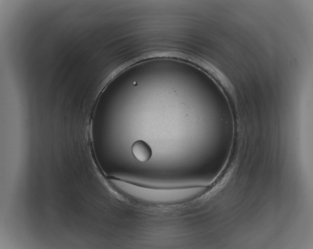 X0000111130993200907071014