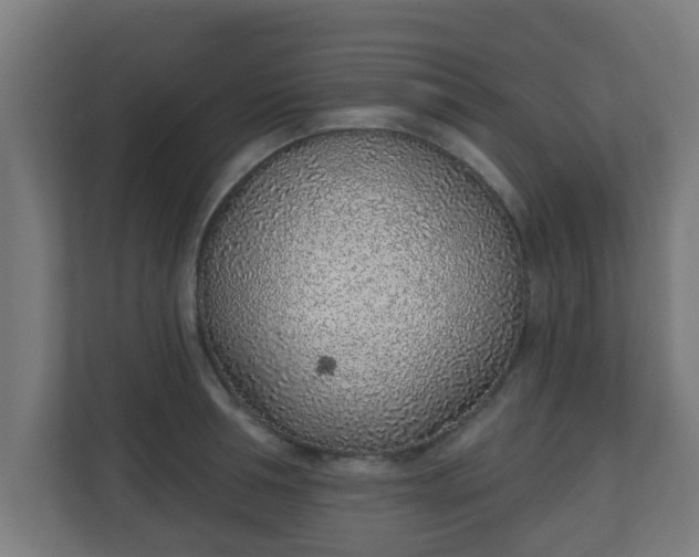 X0000111130994200907071014