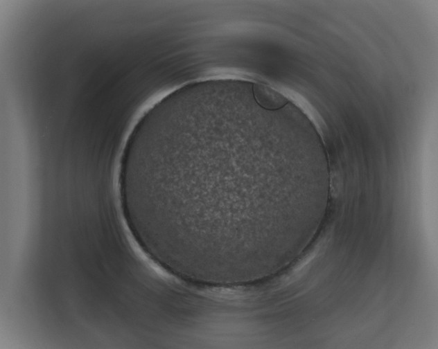 X0000111130995200907071014