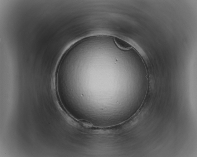 X0000111130996200907071014