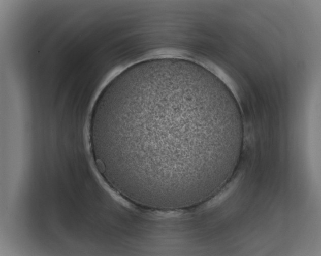 X0000111130997200907071014
