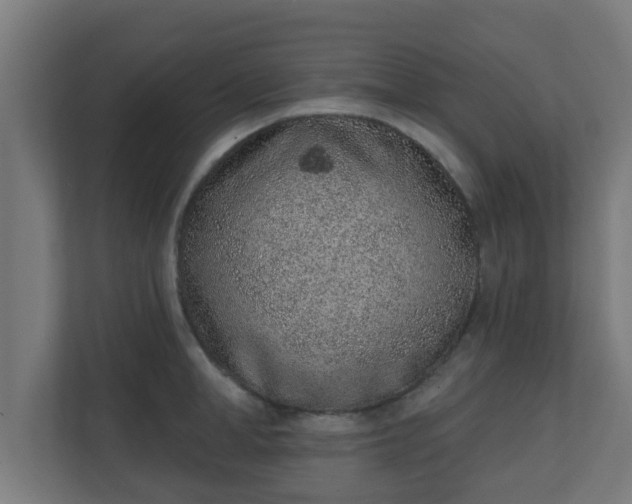X0000111130998200907071014