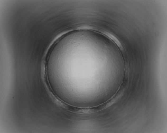 X0000111131000200907071014