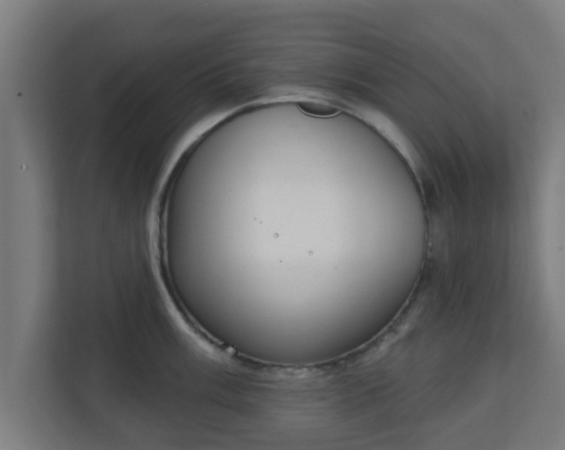 X0000111131003200907071014