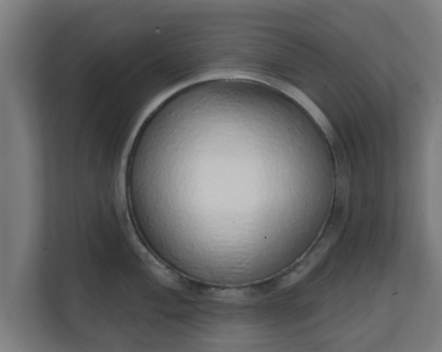 X0000111131004200907071014