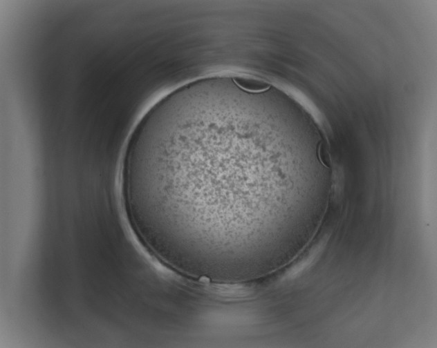 X0000111131007200907071014