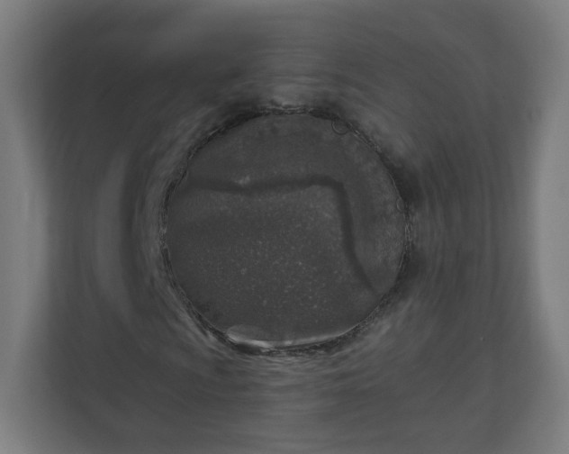 X0000111131009200907071013