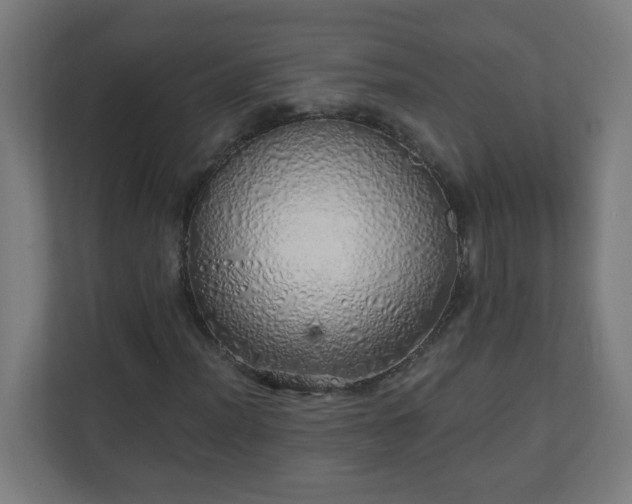 X0000111131012200907071013