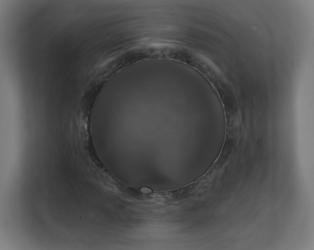 X0000111131013200907071013