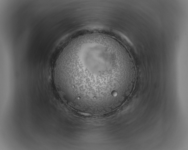 X0000111131016200907071013